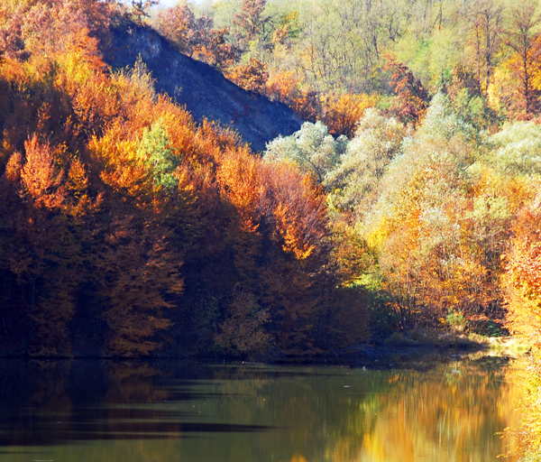 SCENERY mountain`SN 105